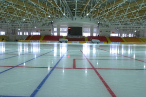 В Тюмени намерены построить новую ледовую арену