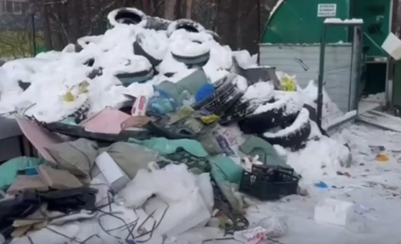 Скандал в Екатеринбурге: детский сад рядом с несанкционированной свалкой вызывает недовольство жителей Скандал в Екатеринбурге: детский сад рядом с несанкционированной свалкой вызывает недовольство жителей