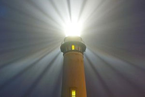 Общественность города Екатеринбурга – за безопасность детей на дорогах!