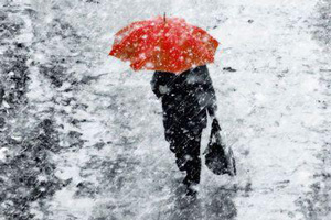 Москву завалило мокрым снегом Москву завалило мокрым снегом