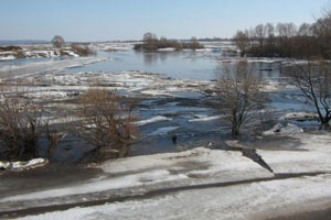 Режим ЧС введен на территории города Бикин в Хабаровском крае: есть угроза подтопления жилых домов