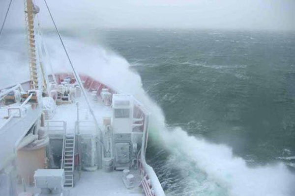 В Эстонии ликвидируют последствия шторма