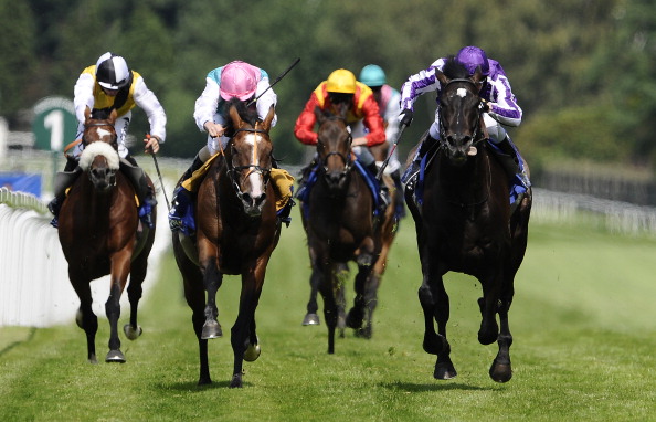 На ипподром в Кургане съехались гости из других регионов На ипподром в Кургане съехались гости из других регионов