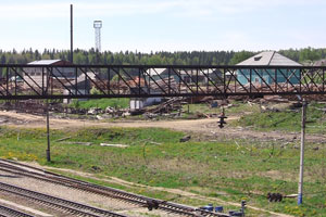 В тайге под Шалей лесорубы незаконно валили деревья, их уже штрафовали на приличную сумму и – не в первый раз В тайге под Шалей лесорубы незаконно валили деревья, их уже штрафовали на приличную сумму и – не в первый раз