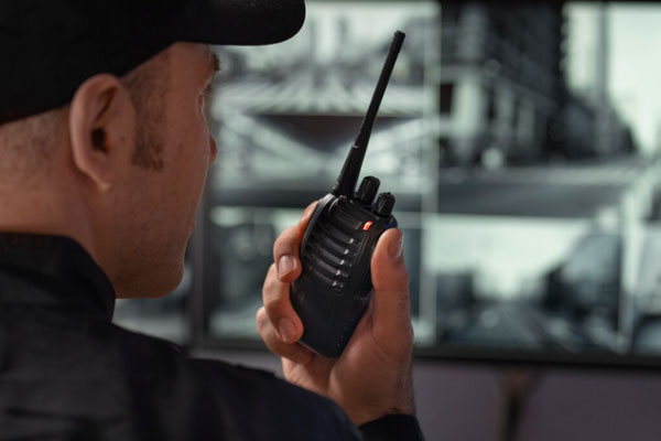 В школах Екатеринбурга выявили охранников без лицензий | В школах Екатеринбурга нашли десятки охранников без лицензий В школах Екатеринбурга выявили охранников без лицензий | В школах Екатеринбурга нашли десятки охранников без лицензий