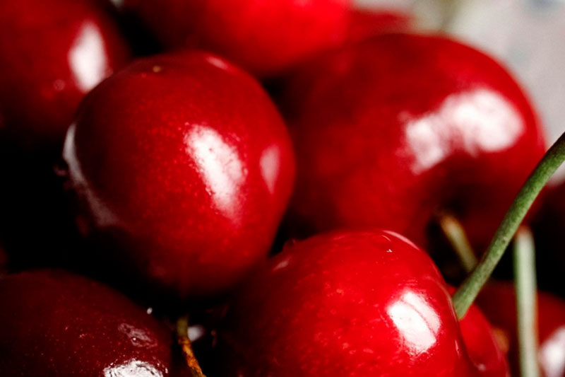 Диетолог объяснила, можно ли питаться одной черешней | Диетолог раскрыла опасность черешневых диет
