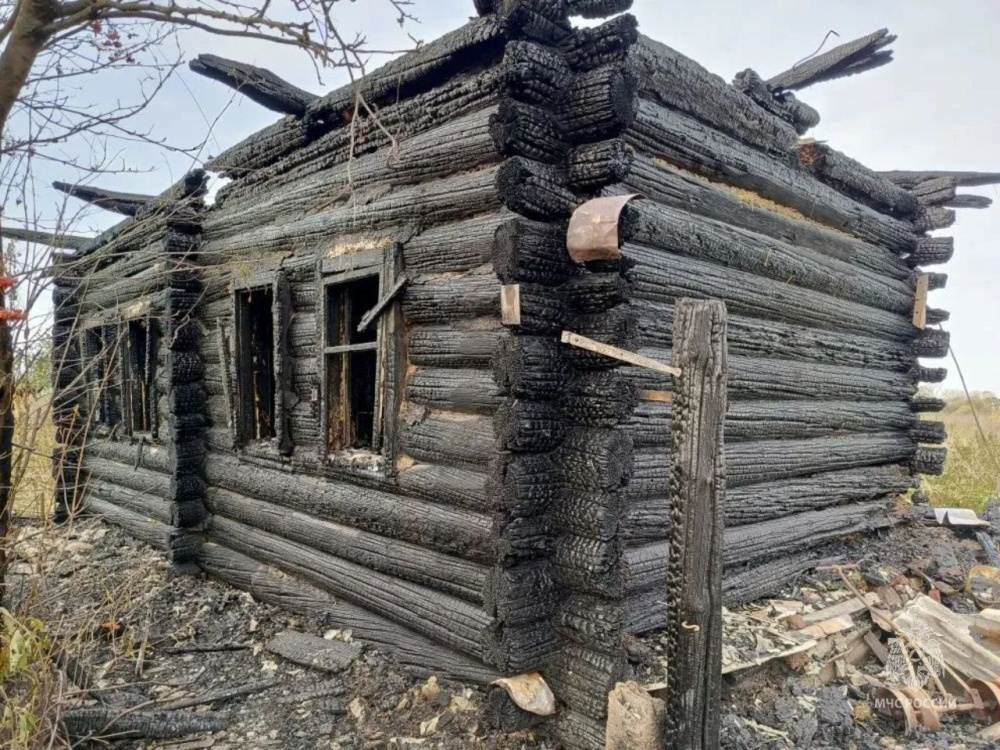 Мужчина погиб при пожаре в курганском селе  | В Курганской области мужчина погиб при пожаре 