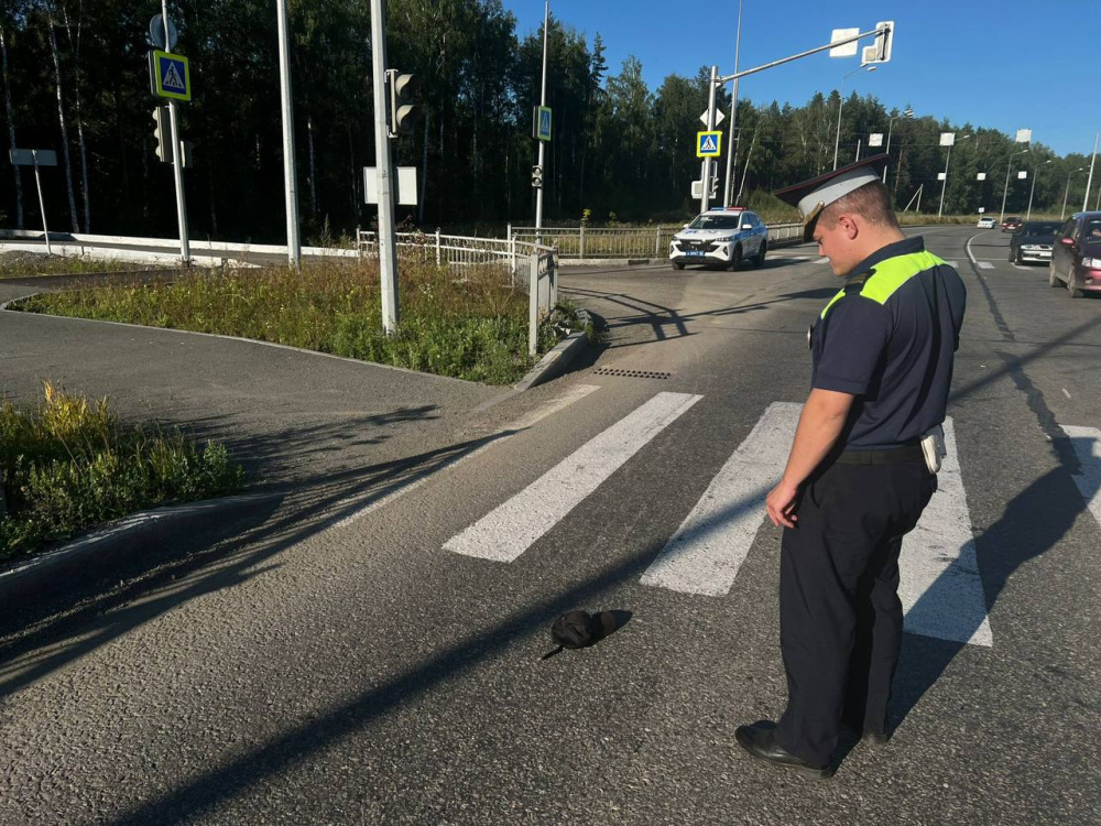 Подросток на велосипеде погиб в Нижнем Тагиле  | В Нижнем Тагиле погиб подросток на велосипеде 