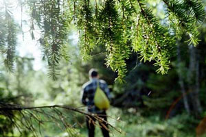 Полицейский и егерь из Красноуфимска спасли потерявшихся в лесу людей Полицейский и егерь из Красноуфимска спасли потерявшихся в лесу людей