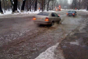 С начала мая в Москве выпало 45% месячной нормы осадков