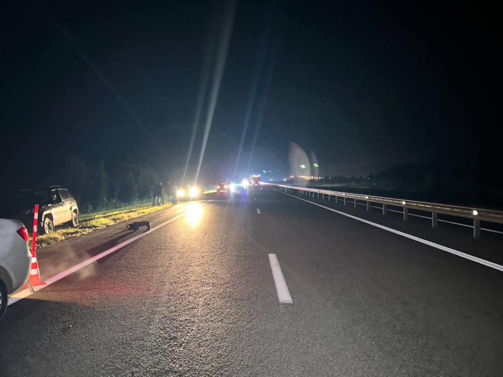 Женщина-пешеход погибла под колёсами машины под Тюменью  | В Тюменской области автомобиль задавил женщину 