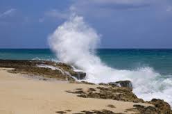 Берега Мексики атакует тропический шторм «Соня» Берега Мексики атакует тропический шторм «Соня»