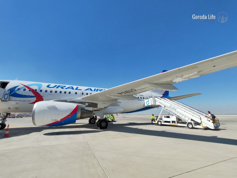 Стали известны новые подробности о технике, на  которого наехал самолёт  | Сбитый самолётом авиатехник сможет продолжать работать в авиации 