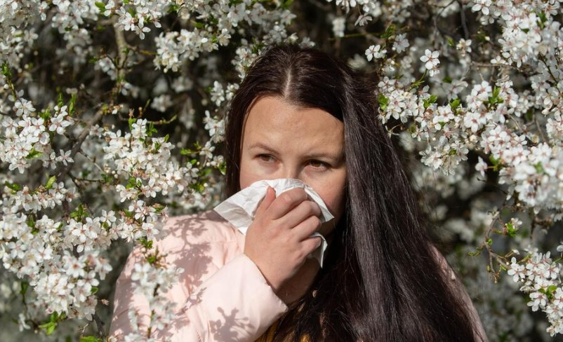 Сезонный подъём ОРВИ: в Свердловской области заболели 48 тысяч человек | Заболеваемость ОРВИ и гриппом растёт в Свердловской области Сезонный подъём ОРВИ: в Свердловской области заболели 48 тысяч человек | Заболеваемость ОРВИ и гриппом растёт в Свердловской области