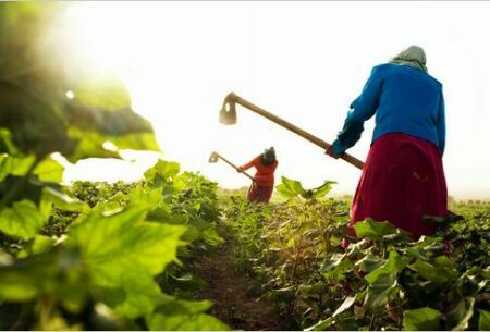 Российский АПК поддержат дополнительно