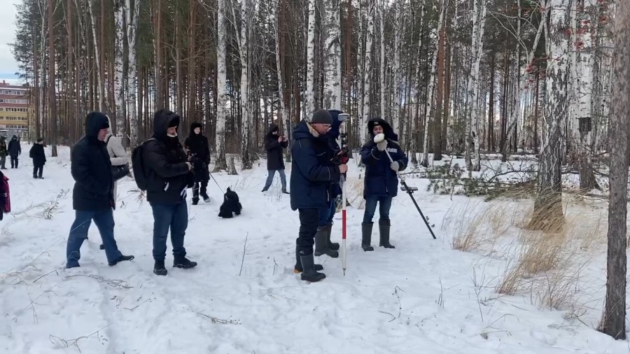 Застройщик берёзовой рощи получил предостережение от мэрии Екатеринбурга  | В Екатеринбурге мэрия объявила предостережение из-за берёзовой рощи 