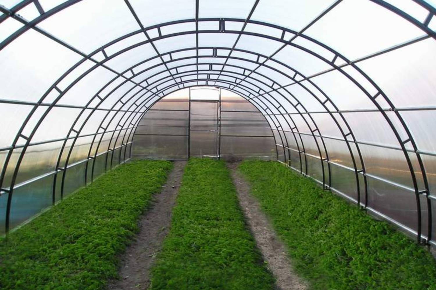 Под Челябинском побили двух китайцев