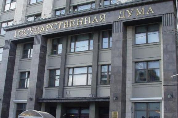 Госдума намерена ограничить въезд в страну опасным иностранцам