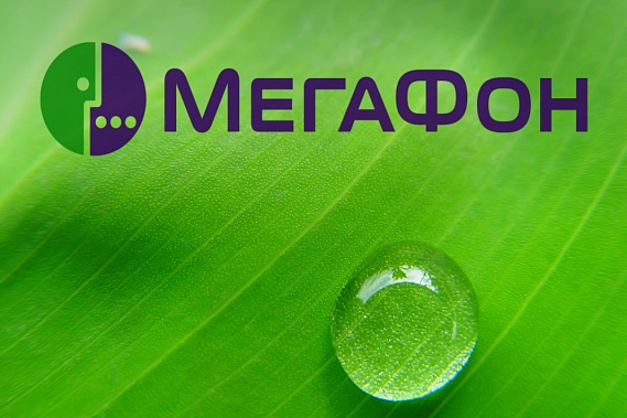 Суд оштрафовал «Мегафон» за «пропаганду ЛГБТ», несмотря на старания оператора