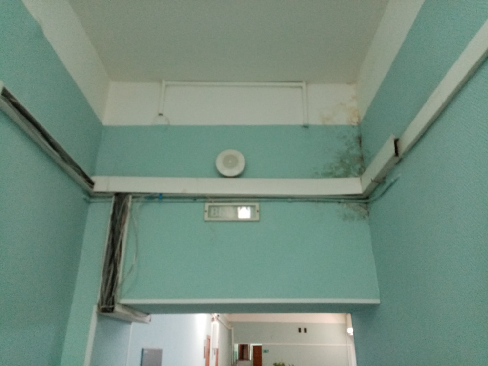 «Сокращают опытных специалистов» — сотрудники центра занятости Екатеринбурга жалуются на работодателя  | Сотрудники Екатеринбургского центра занятости пожаловались на условия труда 