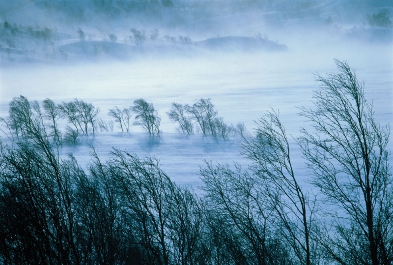 В Свердловской области синоптики прогнозируют сильный ветер