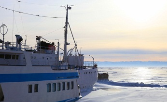 На Ямале поймали 8 тысяч тонн рыбы