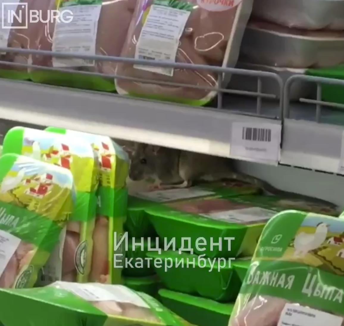 Сюрприз в Магните: При покупке курицы – "Крыса в подарок"