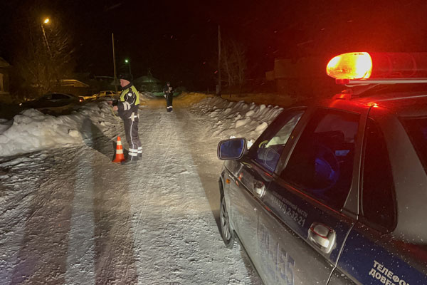 Пермяка осудили к принудительным работам за пьянство за рулём  