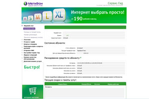Уральцы получили через интернет 40 миллионов мобильных услуг