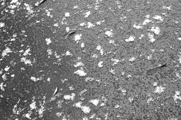 В Нижнем Тагиле выпал первый снег В Нижнем Тагиле выпал первый снег