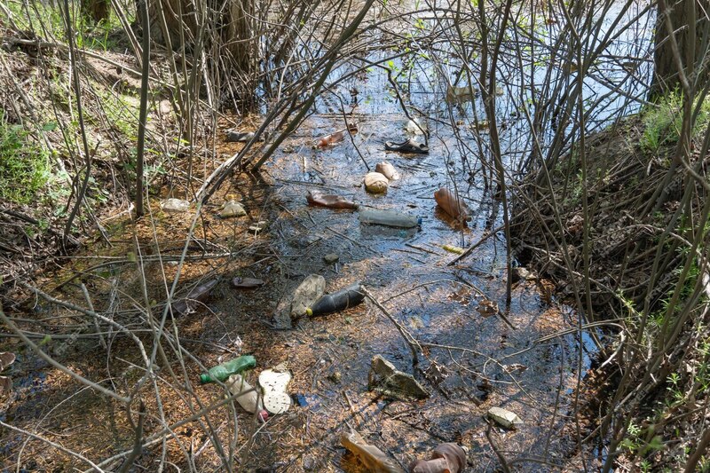 На Урале ребёнок заболел церкариозом после купания в водоёме санатория | Медики предупредили уральцев о церкариозе в водоёмах На Урале ребёнок заболел церкариозом после купания в водоёме санатория | Медики предупредили уральцев о церкариозе в водоёмах