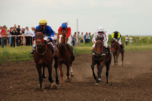 Конно-спортивный праздник в Каменске под угрозой срыва Конно-спортивный праздник в Каменске под угрозой срыва