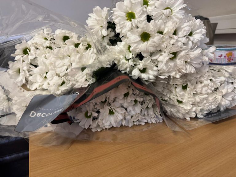 В Свердловской области сожгли 260 заражённых хризантем | На Урале уничтожили партию заражённых голландских цветов