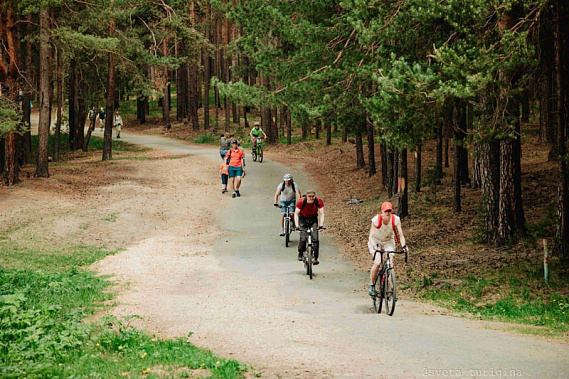 В окрестностях Сысерти для участников массовой оздоровительной прогулки подготовили пять маршрутов  | Названа дата проведения Сысертской Майской прогулки 