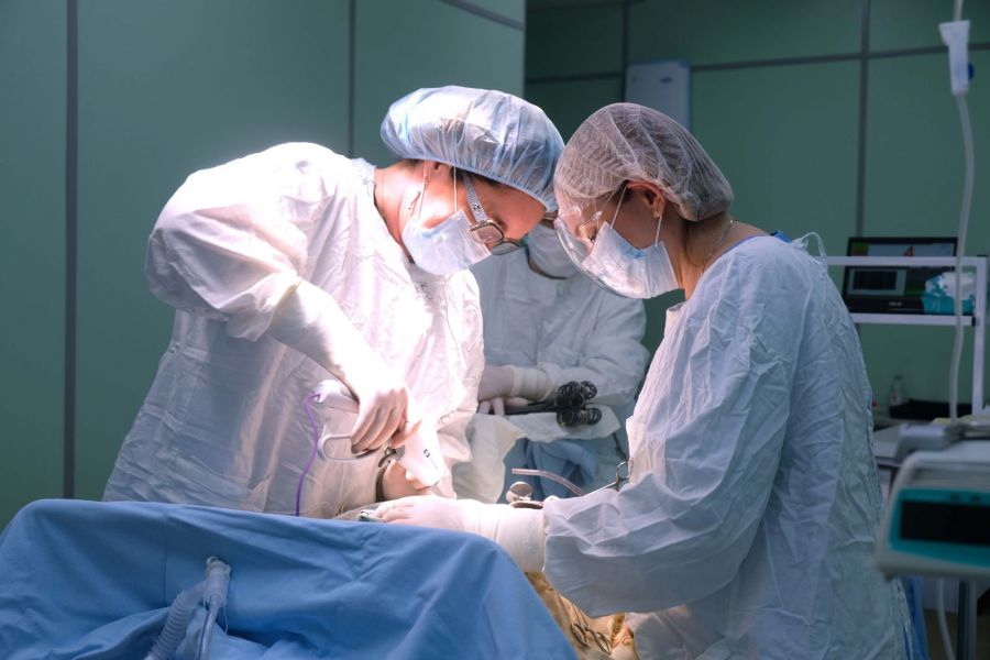 Свердловчанок, болеющих раком эндометрия, начали лечить малотравматичными методиками | На Урале усовершенствовали лечение женщин с раком эндометрия