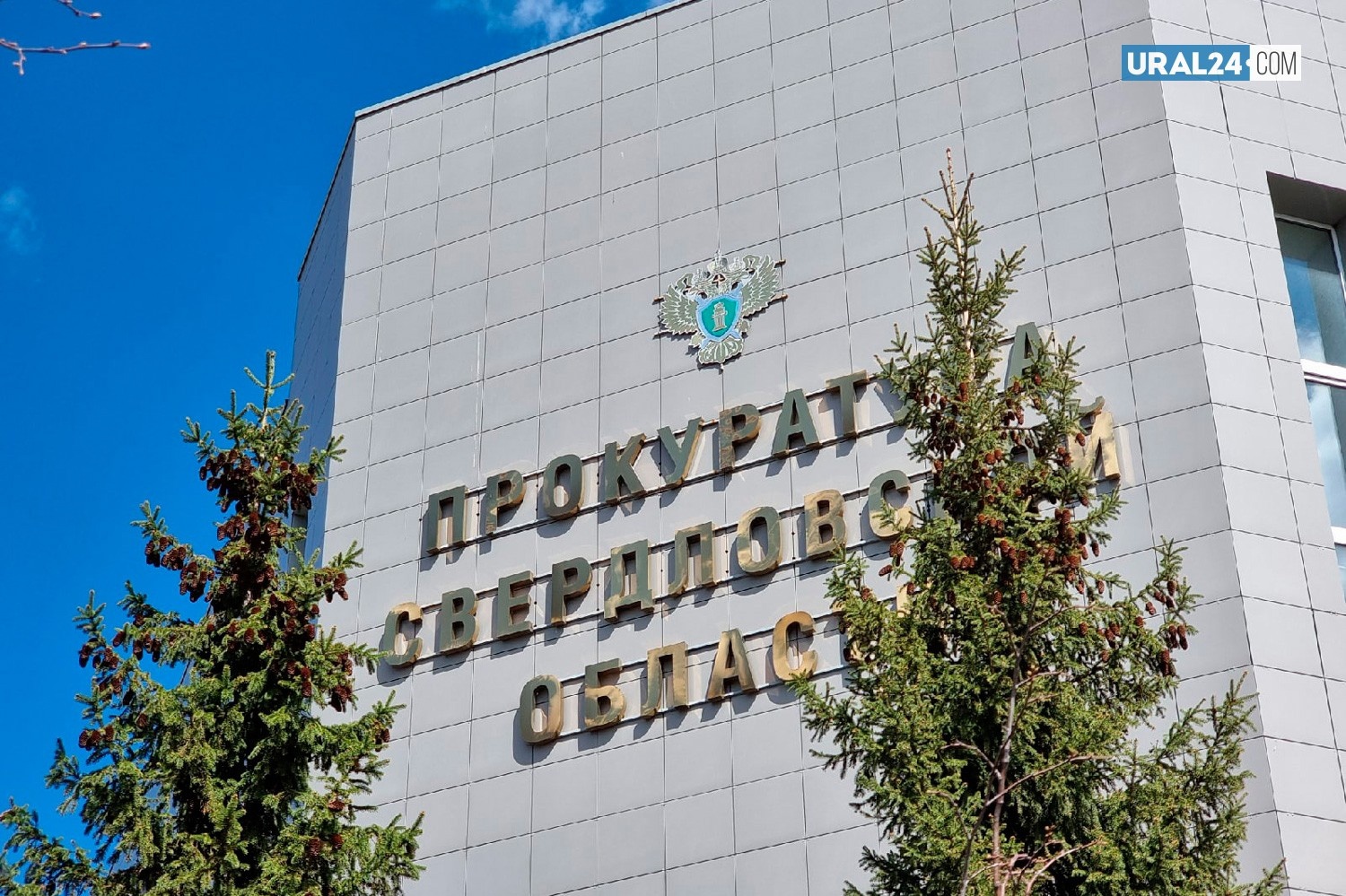 Прокуратура Свердловской области опровергает скандальные утверждения о связи помощника прокурора с осужденной девушкой Прокуратура Свердловской области опровергает скандальные утверждения о связи помощника прокурора с осужденной девушкой