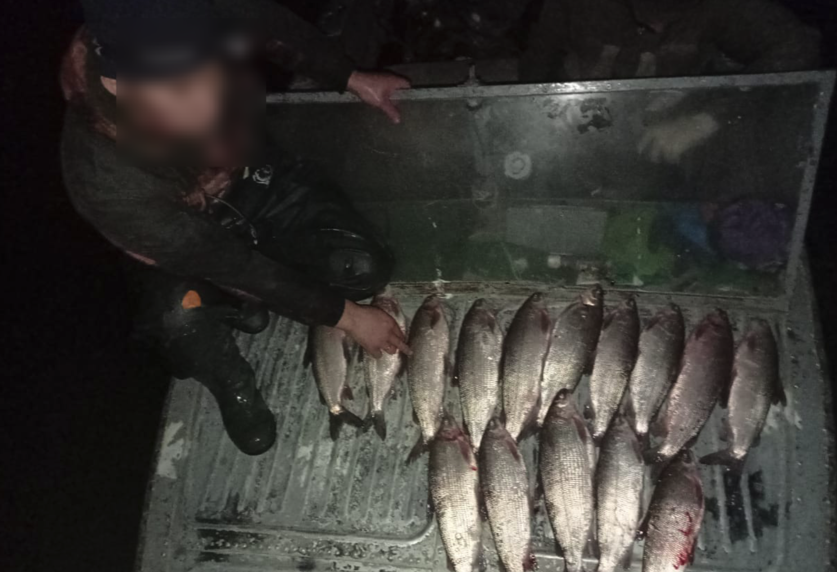 Двое подозреваемых в незаконном вылове ценной рыбы задержаны полицией Салехарда Двое подозреваемых в незаконном вылове ценной рыбы задержаны полицией Салехарда