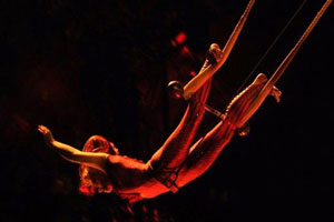 В Лас-Вегасе во время выступления погибла артистка Сirque du Soleil