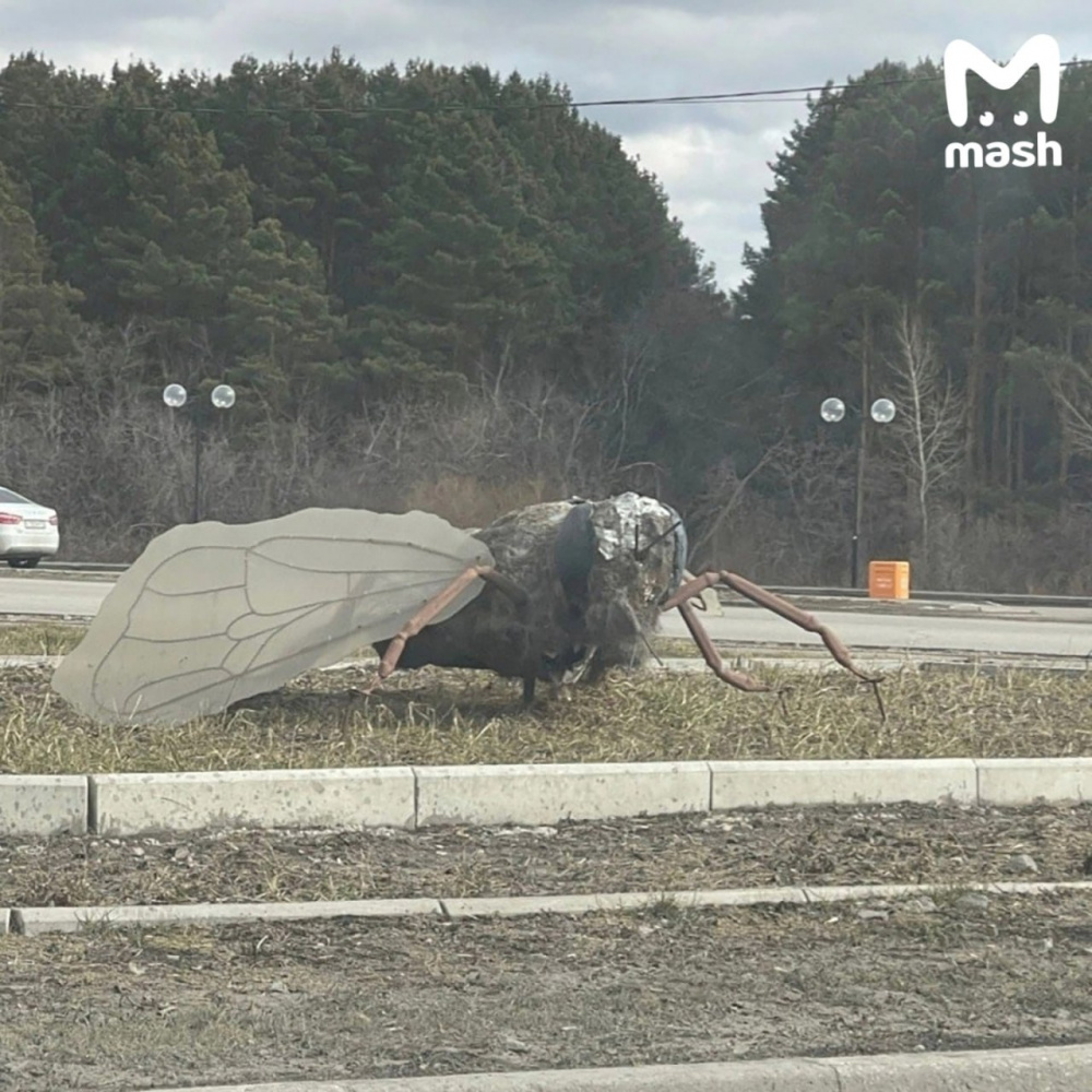 Тюменцы переругались из-за скульптуры пчеломухи с тараканьими лапками  | В Ишиме уставшая пчеломуха стала местной достопримечательностью 