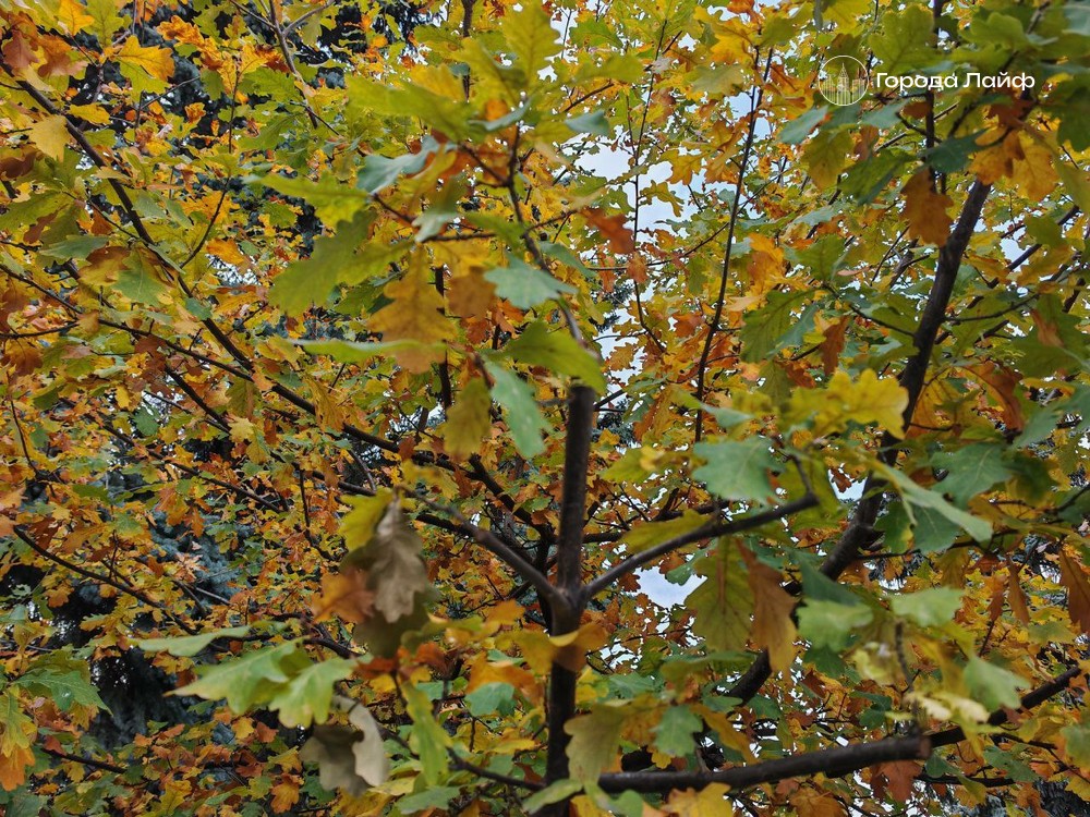 Будут ли осадки в выходные? Публикуем ответ синоптиков | Синоптики раскрыли, ждать ли на Урале осадков в выходные Будут ли осадки в выходные? Публикуем ответ синоптиков | Синоптики раскрыли, ждать ли на Урале осадков в выходные