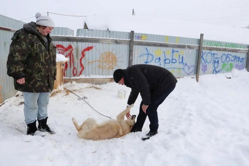 В Каменске-Уральском сменили подрядчика по отлову бездомных животных | Приют «Дарби» вновь занялся отловом бездомных животных в Каменске-Уральском В Каменске-Уральском сменили подрядчика по отлову бездомных животных | Приют «Дарби» вновь занялся отловом бездомных животных в Каменске-Уральском