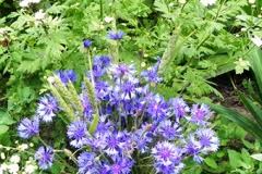 На Ямале меняется климат