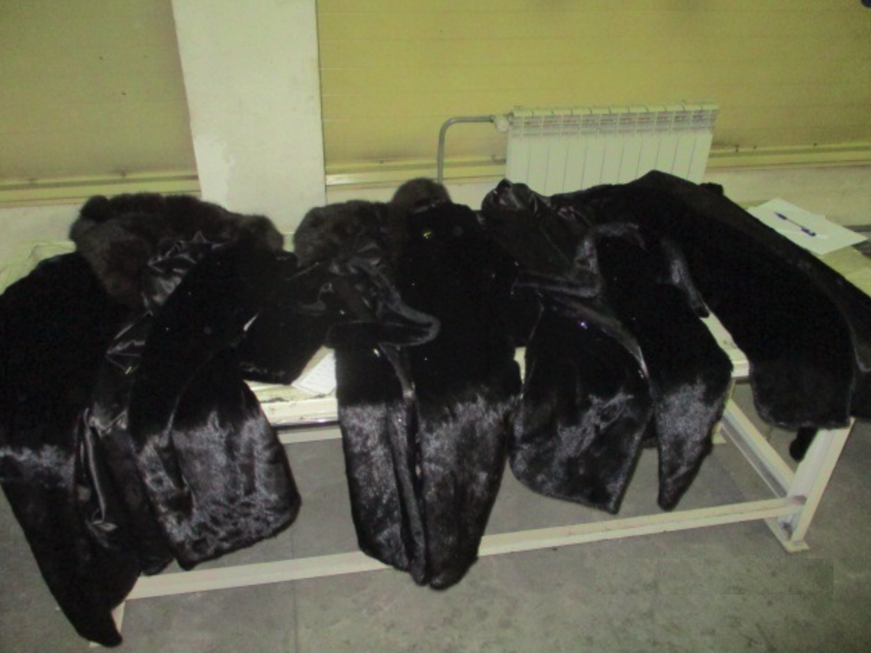 Уральские таможенники выявили бесхозяйные и немаркированные шубы Уральские таможенники выявили бесхозяйные и немаркированные шубы