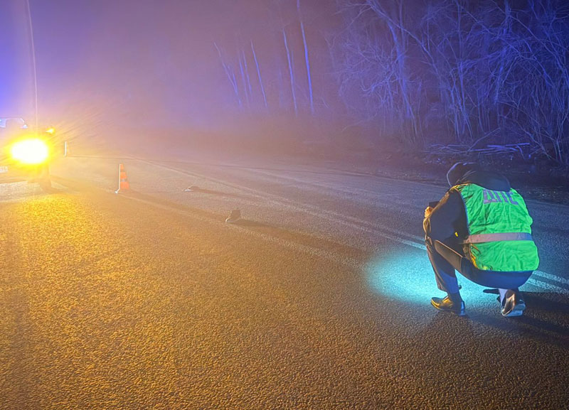 Смертельное ДТП в Полевском районе: пешеход погиб ночью | Kia Sportage сбил мужчину на дороге в Свердловской области