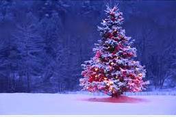 В Соликамске сожгли главную новогоднюю елку