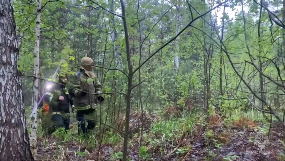След потерян - в Свердловской области продолжаются поиски пропавших брата и сестры | На Урале продолжают искать пропавших мальчика и девочку из Тюмени След потерян - в Свердловской области продолжаются поиски пропавших брата и сестры | На Урале продолжают искать пропавших мальчика и девочку из Тюмени