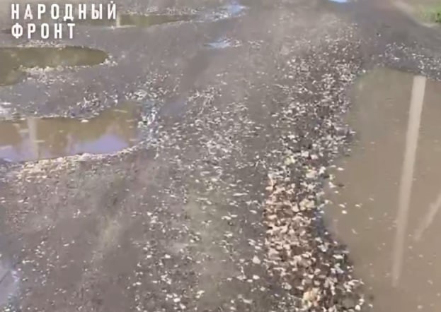 Восьмилетний челябинец попросил Путина сделать дорогу ради сестры  | В Челябинской области ребёнок обратился к Путину, чтобы помочь сестре с ДЦП